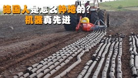 味精包裝機(jī),食品包裝設(shè)備,廠家直銷,歡迎來廠驗(yàn)貨